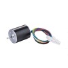 17000 Rpm 12V 24V High Speed Brushless DC Motor