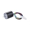 7000 Rpm 12V 24V Small Brushless DC Motor