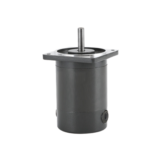 40 W DC Gear Motor, 1800 Rpm, 12V/24V 40 W DC Gear Motor, 1800 Rpm, 12V/24V
