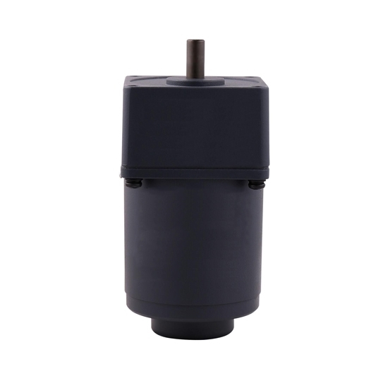 20 W AC Gear Motor, Torque Motor With Gearbox, Single Phase 20 W AC Gear Motor, Torque Motor With Gearbox, Single Phase