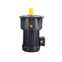 2 Hp (1.5kW) 3-Phase AC Gear Motor, Vertical, Ratio 3~100