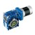 150 W DC Worm Gear Motor, 12V/24V/48V