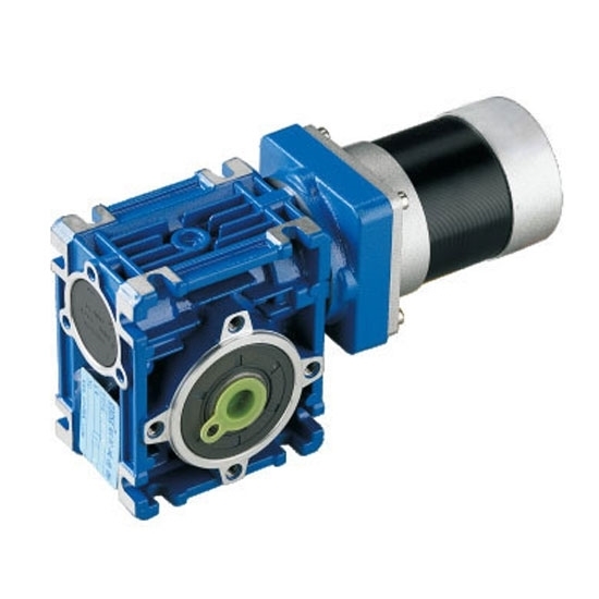 50 W DC Worm Gear Motor, 12V/24V 50 W DC Worm Gear Motor, 12V/24V
