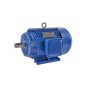 1.5 Hp (1.1kW) 3 Phase 4 Pole AC Induction Motor