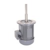 1/3 Hp 160mm Long Shaft Induction Motor, 2700 Rpm