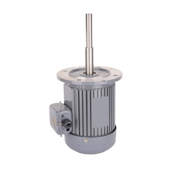 1/3 Hp 160mm Long Shaft Induction Motor, 2700 Rpm