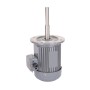 1/3 Hp 160mm Long Shaft Induction Motor, 2700 Rpm