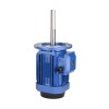 1.5 Hp 180mm Long Shaft Induction Motor, 2800 Rpm 1.5 Hp 180mm Long Shaft Induction Motor, 2800 Rpm