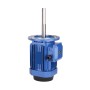 1.5 Hp 180mm Long Shaft Induction Motor, 2800 Rpm
