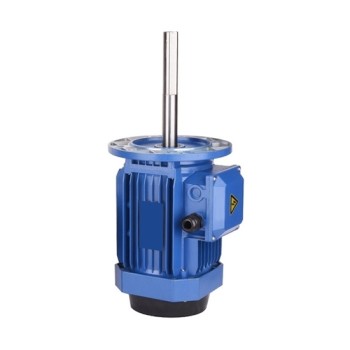 180/250W 160mm Long Shaft Induction Motor, 2700 Rpm 180/250W 160mm Long Shaft Induction Motor, 2700 Rpm