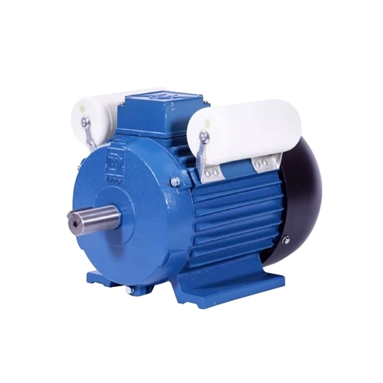 3 Hp (2.2kW) 220V Single Phase AC Induction Motor 3 Hp (2.2kW) 220V Single Phase AC Induction Motor