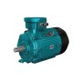 5.5hp (4kW) Explosion Proof Motor, 380V, 2P/ 3P/ 4P
