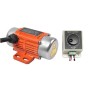 20W 12 Volt DC Brushed Vibrating Electric Motor With Controller