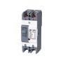2 Pole Molded Case Circuit Breaker, 20A/ 30A/ 40A/ 50A To 100A