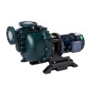 1 Hp Self Priming Centrifugal Pump, 2 Pole 1 Hp Self Priming Centrifugal Pump, 2 Pole