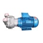 1 HP (0.81 KW) Water Ring Vacuum Pump