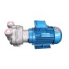 5 HP (3.85 KW) Water Ring Vacuum Pump