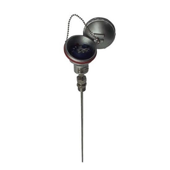 RTD Sensor With Transmitter, Pt100, 2 Wire RTD Sensor With Transmitter, Pt100, 2 Wire