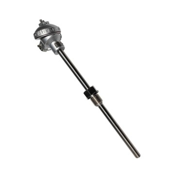 RTD Sensor With Transmitter, Pt100, 2 Wire