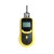 Handheld Carbon Monoxide (CO) Gas Detector, 0 To 500/1000/2000 Ppm