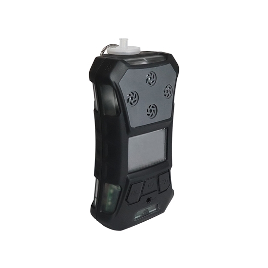 Portable Explosion-Proof Hydrogen Sulfide (H2S) Gas Detector Portable Explosion-Proof Hydrogen Sulfide (H2S) Gas Detector