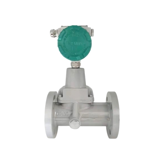 Natural Gas Flow Meter, O2/ CH4, DN20-DN200 Natural Gas Flow Meter, O2/ CH4, DN20-DN200