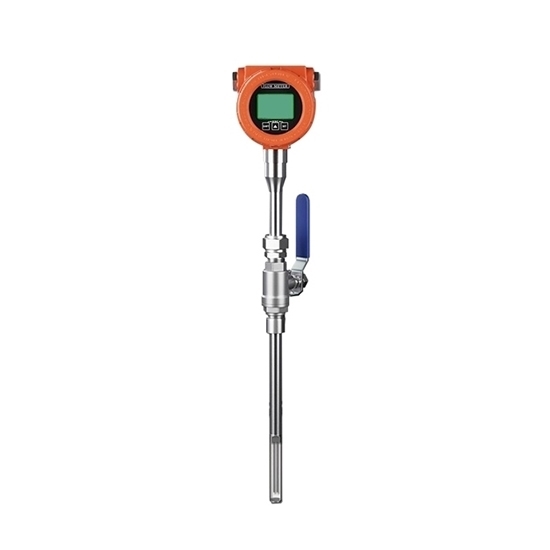 Thermal Gas Mass Flow Meter, DN65-DN1000 Thermal Gas Mass Flow Meter, DN65-DN1000