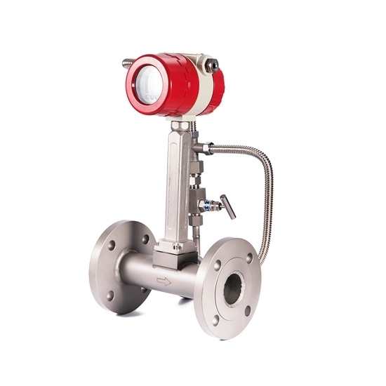 Vortex Flow Meter For Liquid/Gas/Steam, DN15-DN300 Vortex Flow Meter For Liquid/Gas/Steam, DN15-DN300