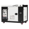 10kW (12.5kVA) Silent Diesel Generator, 1 Phase/3 Phase 10kW (12.5kVA) Silent Diesel Generator, 1 Phase/3 Phase
