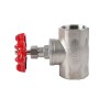 Stainless Steel Globe Valve, NPT, SS304/316
