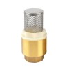 1 Inch Brass Foot Valve For Water Pump 1 Inch Brass Foot Valve For Water Pump