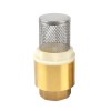1-1/2 Inch Brass Foot Valve For Water Pump 1-1/2 Inch Brass Foot Valve For Water Pump
