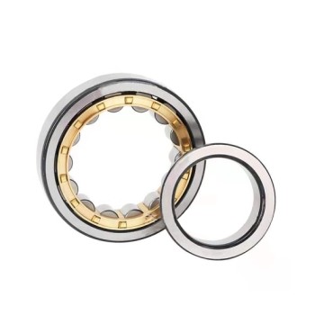 35mm Single Row Cylindrical Roller Bearing 35mm Single Row Cylindrical Roller Bearing