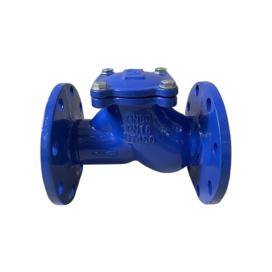 5" Flanged Ball Check Valve 5" Flanged Ball Check Valve