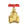1/2 Inch Brass Gate Valve, DN15