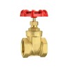 3/4 Inch Brass Gate Valve, DN20