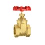 2 Inch Brass Gate Valve, DN50