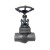 1/2" Forged Steel Globe Valve