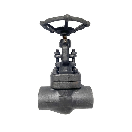 3/4" Forged Steel Globe Valve 3/4" Forged Steel Globe Valve