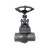1" Forged Steel Globe Valve
