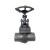 2" Forged Steel Globe Valve