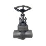 2" Forged Steel Globe Valve