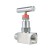 1" Stainless Steel Globe Valve