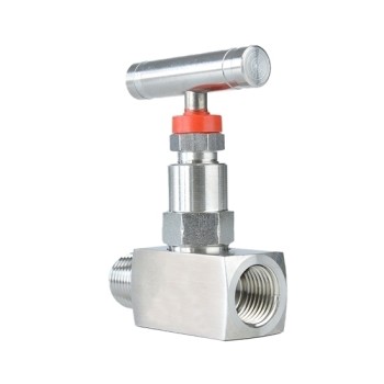 3/4" Stainless Steel Globe Valve