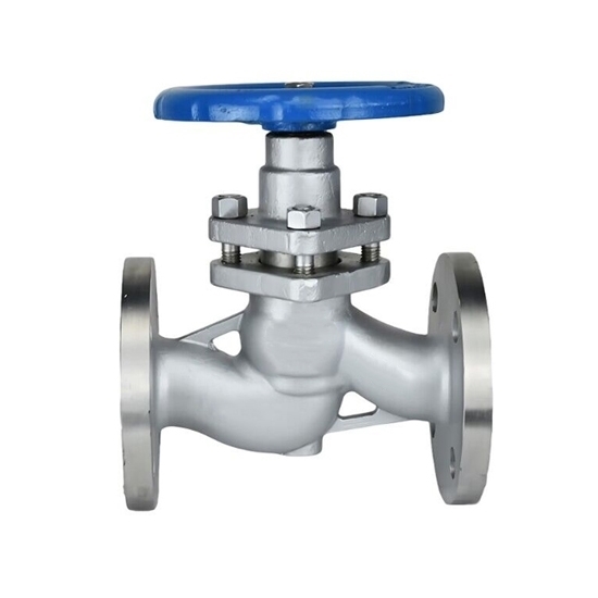1" Plunger Valve, DN25 1" Plunger Valve, DN25