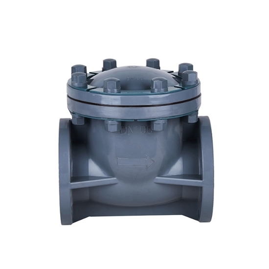 1 Inch Swing Check Valve, DN25, CPVC 1 Inch Swing Check Valve, DN25, CPVC