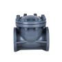 1 Inch Swing Check Valve, DN25, CPVC