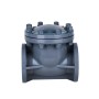 5 Inch Swing Check Valve, DN125, CPVC
