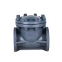 6 Inch Swing Check Valve, DN150, CPVC