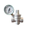 2" Spring Loaded Pressure Relief Valve, DN50